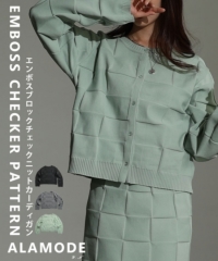 �G���{�X�`�F�b�N�j�b�g�J�[�f�B�K��