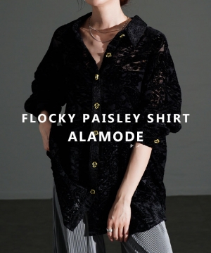 �y�C�Y���[���t���b�L�[�V�A�[�V���c