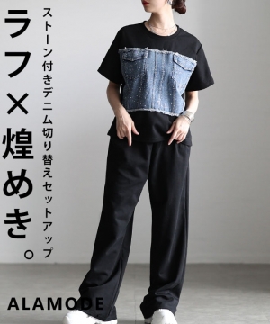 �X�g�[���t���f�j���ؑփZ�b�g�A�b�v