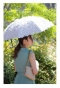 花びら舞う晴雨兼用折りたたみ日傘